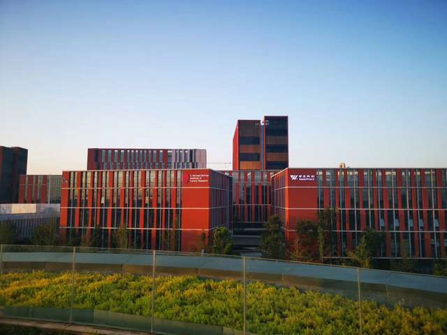 山西复合护树板价格多少