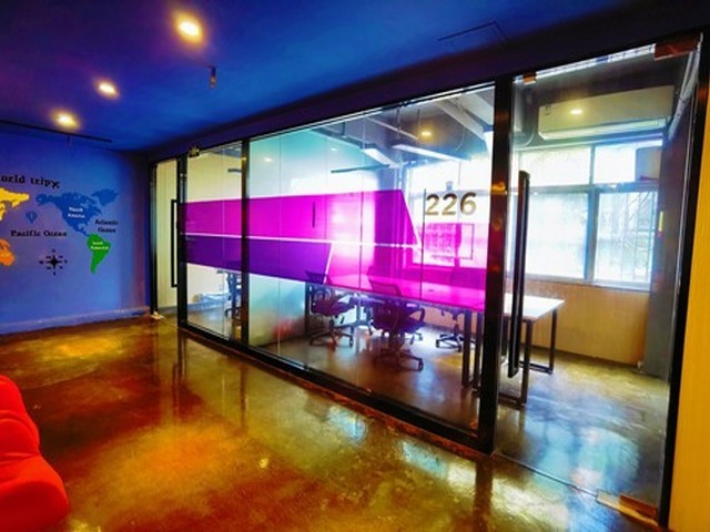 广东新月子米多少钱